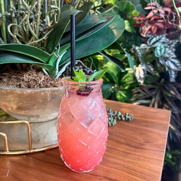 Hibiskus Limonata